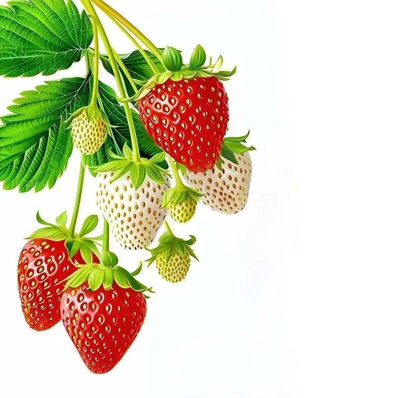 Strawberry Pattern Waterproof Kitchen & Dining Room Sticker - Self-Adhesive for Refrigerator, Glass Door, or Window