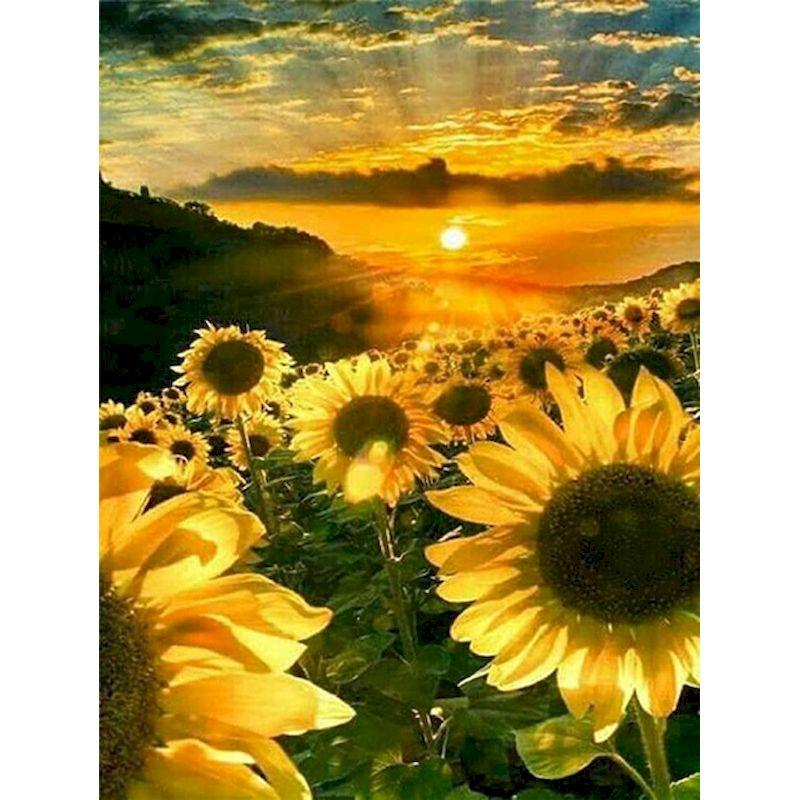 Full Diamond Embroidery Sunflower Diamond Mosaic Painting Kits Sunsetting Scenery Creative Hobbies Pictures Home Deco