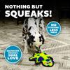 Outward Hound Dog Invincible Gecko Dog Toy Dog Toy Pet Toy (Outward Hound) (2 Squeakers) (Yellow/Green)