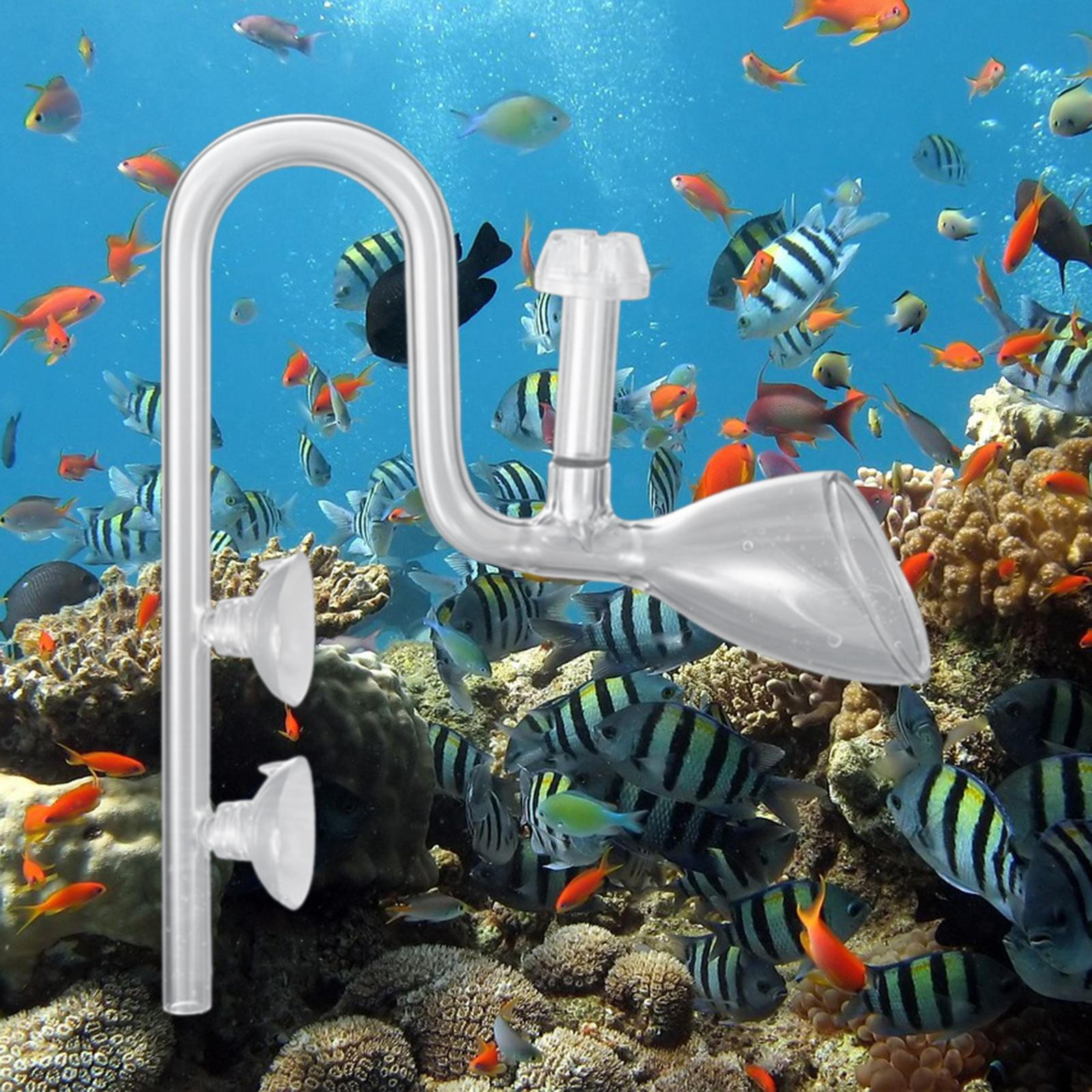 

Аквариумная стеклянная трубка для лилий Фильтр для аквариума Удаление масла Легко очищаемая установка трубок 17mm