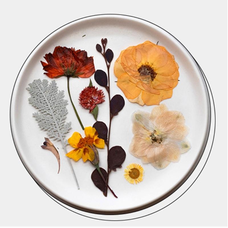 Natural Pressed Dried Flower For Epoxy Resin Dry Flowers and Leaves Set for Soap Candle Jewelry Making Scrapbooking
