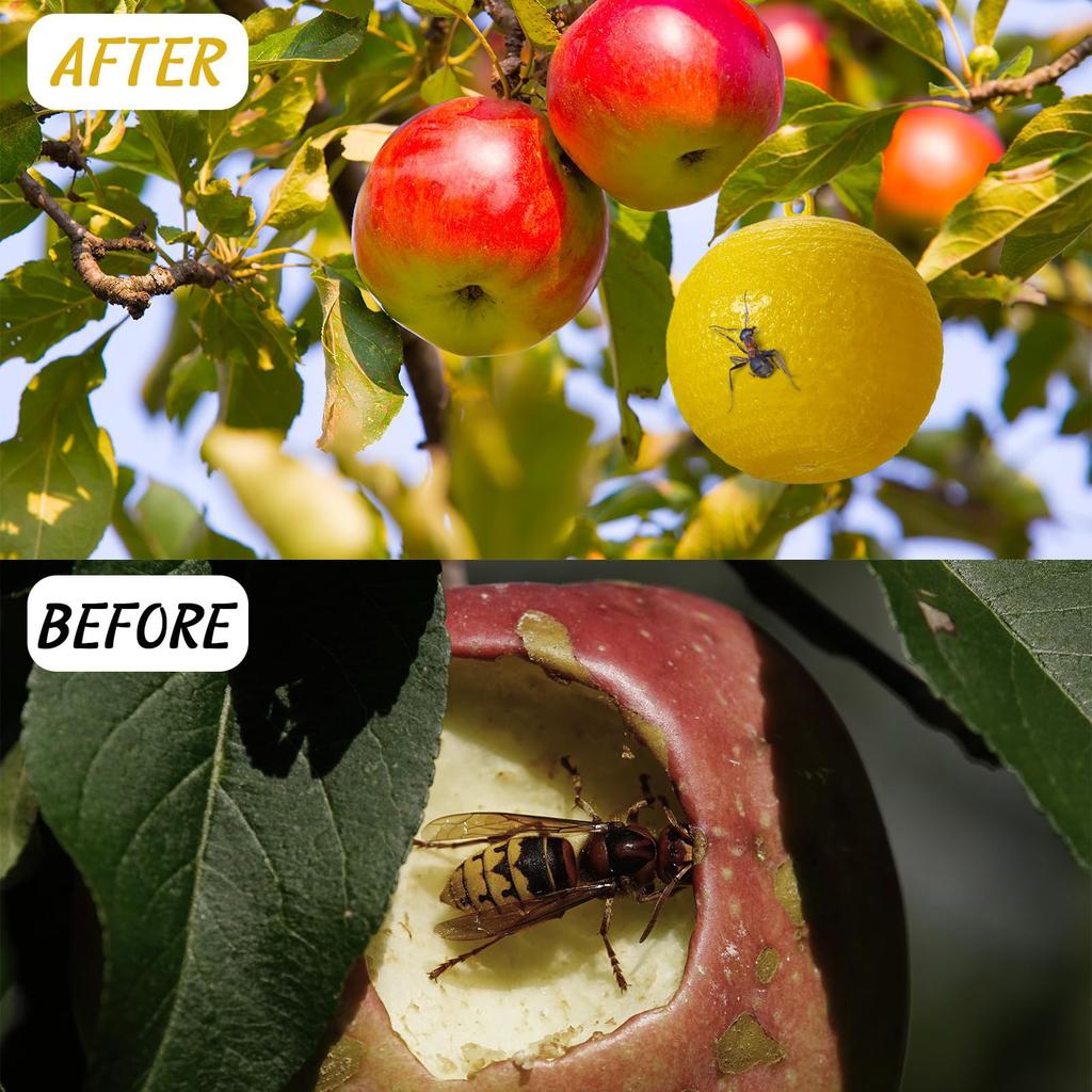 Sticky Fruit Fly Trapping Ball Sticky Fly Catching Ball Sticky Glue Fly Gnat Mosquito Flying Insect Trapping Ball Trap