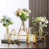 2026 Pentagram Heart Hydroponic Vase Home Decoration Triangle Rectangle Glass Test Tube Simplism Modern Gif Iron Art