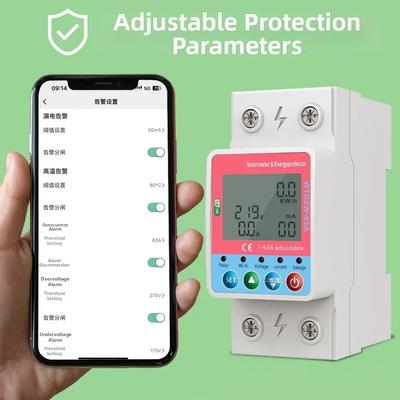Smart Circuit Breaker 63A 2P with Remote Monitoring for Overcurrent Protection In Residential and Commercial Use