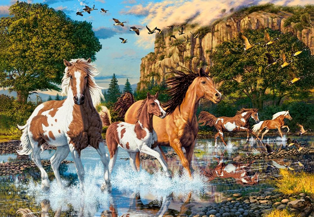 Puzzle 1000 pieces C-104789-2 Horse Wonderland