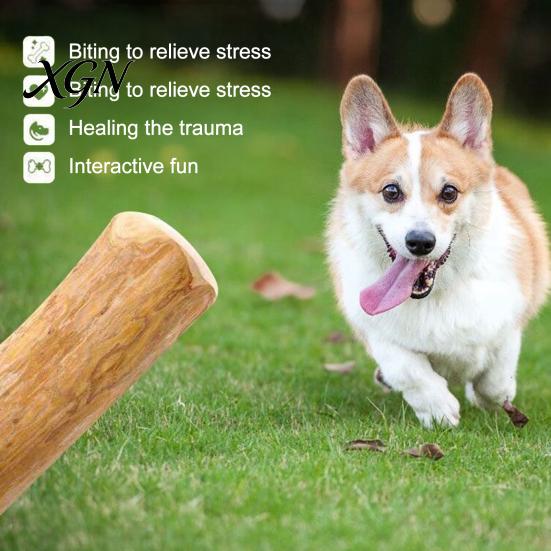 Interaktives Hundespielzeug für drinnen Kaffeoholz Kauspielzeug, Holz Welpen Zahnen Natürlicher Angstlindernder Stick, Zahngesundheit Spielzeug Klein Mittel