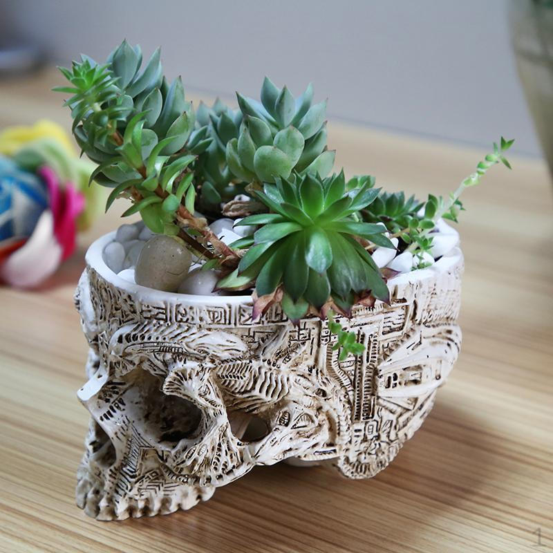 Head Flower Pot er Box Container Bar Colors