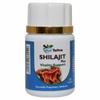Ved Tattva Shilajeet Plus (Pack de 20 Capsules de 1)