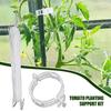 Clips For Climbing Plants Tomato Planting Support Kits Multifunctional Garden Supplies Fastening Clamp For Tomato Vines
