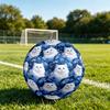 1pc Blue Cat Theme Soccer Ball Football, Size 5, Lightweight PVC, Outdoor Training Soccer Ball,Gift C654