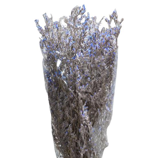 Unique Dried Plant Anti-fade Artistic Fantastic