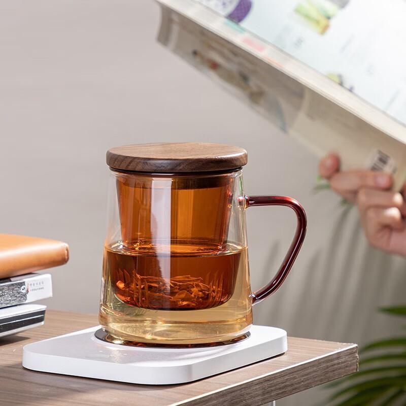 Banwushenghuo Glass Tea Infuser Cup, Office Water Bottle, Green Tea Cup for Men with Filter