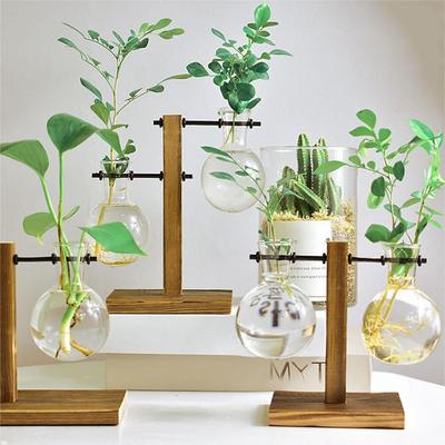 Kreativer Glas-Desktop-Pflanzgefäß Zwiebelvase Holzständer Hydrokultur Pflanzenbehälter Dekor Heim-Tischdekoration Vasen
