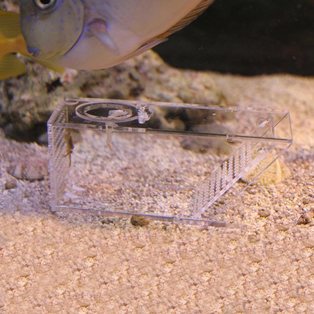 Transparent Fish Tank Trap Acrylic One Way Trap Durable Shrimp Catcher Reptile Terrarium