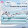 Antibacterial Cooling Summer Quilt