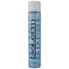 HAIR SPRAY normal 650 ml