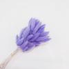 Small Reed Dried Flower Bouquet Small Whisk Small Pu Reed Reed Dried Flower Rabbittail