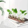 Plant Terrarium Glass Vase Modern Transparent with Wooden Tray, Hydroponics Propagation Station Indoor Desktop Decor
