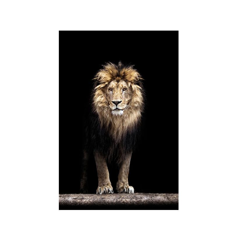 Abstract Animal Lion Canvas Poster Printing Modern Painting Wall Art Picture for Living Room Home Decoration Gift Cuadros