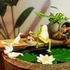 Yousheng Frog Garden Statue Lotus Leaf Sitting Frog Figurine Cute Resin Frog Sculpture for Outdoor Yard Garden Pond Home Office Desk Tabletop Decor