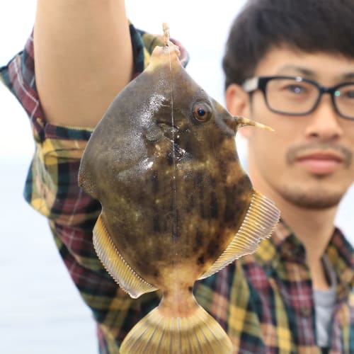 Hayabusa Leder Hagi Superkurz Harris Haken mit Öhr 6-3 HD200-6-3