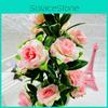 Sasanqua Thunb Camellia Potted Plant For Interior Decoration And Use Gift