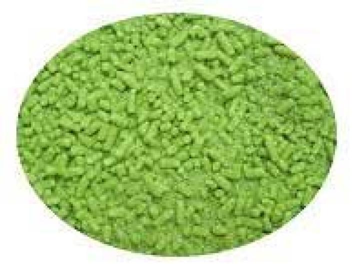 Morihan Commercial-Grade Strong Matcha Powder, 500g Bag (Matcha, Frosted Sugar)