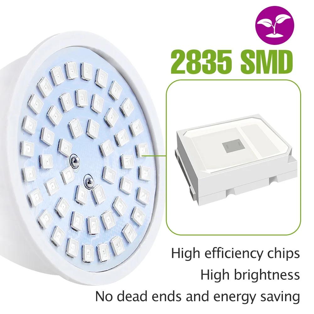 E27 LED Plant Grow Lights GU10 220v Full Spectrum Indoor Hydroponics Flower Seeds Promote Growth Vegetables Cultivation LampE14