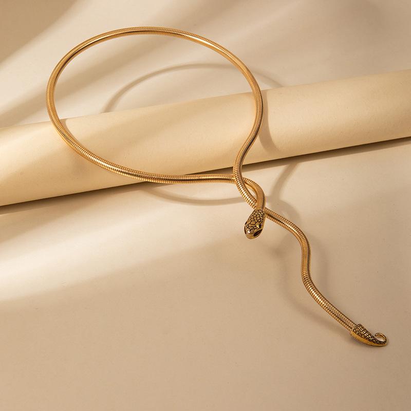 Exaggerated Personality Winding Snake Collar Necklace Bracelet Personality Three-dimensional Snake Cold Wind Metal Jewelry