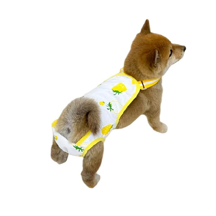 Cotton Dog Period Underwear For Female Pet Easy To Clean And Odor Control