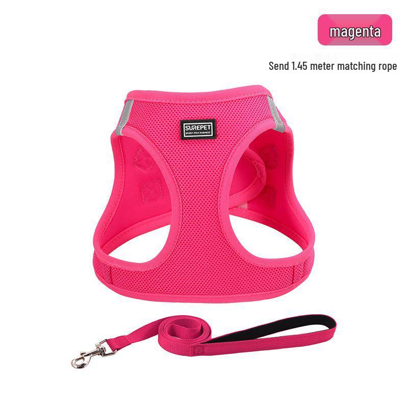 Escape-Proof Cat & Small Dog Harness Leash - Outdoor Walking Rope for Teddy & Bichon Frise