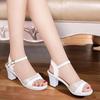 Women's Fashion Sandals 2025 New Open Toed High Heels Women's Casual Spring and Summer One Button Strap Sandals Zapatos De Mujer