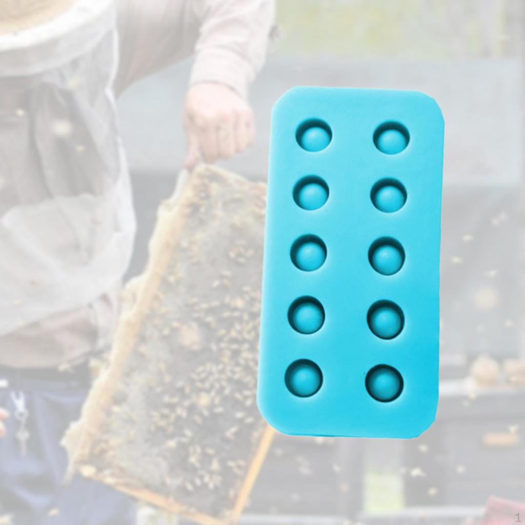 Queen Grafting Cups Bee Cell Cup Model Bees Silicone for Professionals
