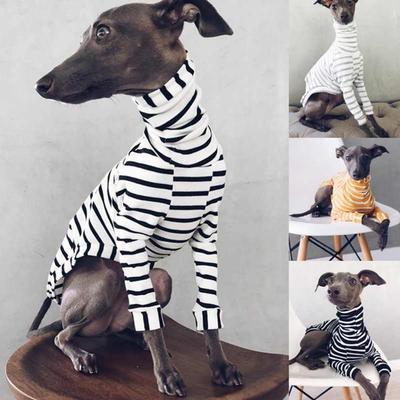 italian greyhound shoes