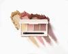 Fujiko Pale 02 Deep Carved Mauve Contents Eyeshadow Matte Sheer No Waste Color Add-on 5.5g
