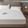 King Queen Size Anti -Mites Soft Comfortable Bed Cover Solid Color Waterproof Mattress Cover Not Including Pillowcase