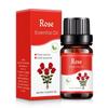 10ml Car Perfume Water-soluble Air Freshener Aroma Diffuser Air Humidifier Essential Oils Freshener Scents Fragrance Oil Perfume