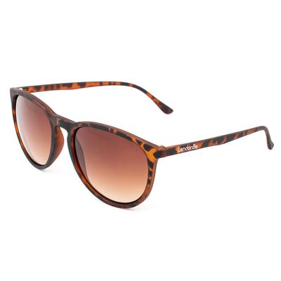 Eyewear & Accessories – Sunglasses