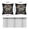 America 250 Year Anniversary  Pillow Covers Merch Soft Cushion Cover Decorations  Pillow Case Cover Home Multi Size
