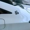 Auto Metalen Embleem Slangvormige Zijdecal Modificeerbare Waterdichte en Zonbestendige Staartembleem Voertuig Carrosserie Decoratie Sticker