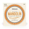 Mandolino Ottava Phosphor EJ80 Corde D'Addario, Bronzo, Medio, .012-.046