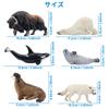 TOYMANY 12-Piece Arctic Animal Figure Set, Realistic Arctic Animal Models, Popular Animal Toys, Birthday Gifts, Decorations, Christmas, New Year's