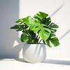 Top Quality Simulated Green Potted Plants, Suitable for Daily Home Decoration. They Can Be Placed on Windowsills and Desktops