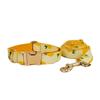 Yellow Pineapple Dog Collar and Leash Set