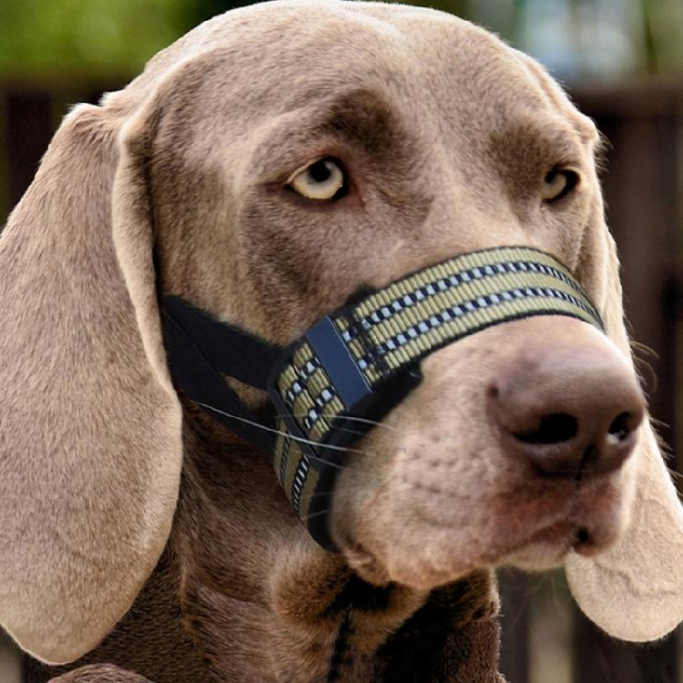 Adjustable Dog Muzzle for Medium Large Breeds Prevents Chewing