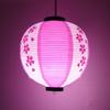 30cm Japanese Izakaya Outdoor Waterproof Decor Lanterns Sake Sushi Lamian Noodles Salmon Cuisine Restaurant Advertising Lantern