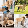 Breathable Texture Dog Leg Recovery Sleeve Dog Front Leg Support Brace Injury Support