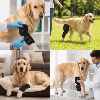 Atmungsaktive Textur Hund Bein Erholungshülse Hund Vorderbein Stützbandage Verletzungsunterstützung