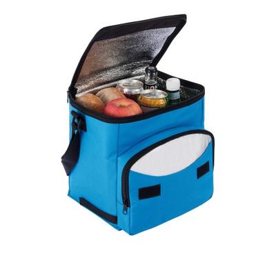 Foldable Cooler Bag