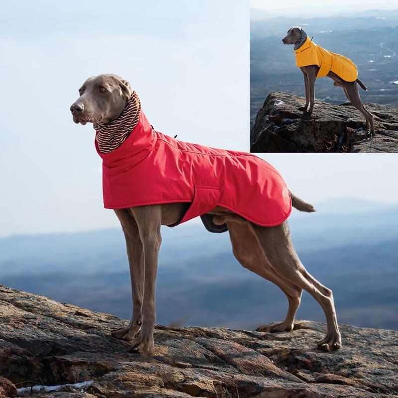 Outdoor Dog Jacket Windproof Waterproof Large Breeds Reflective Adjustable Coat Weimaraner Retriever Winter Warm Pet Clothes